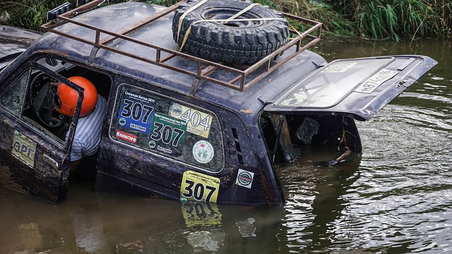 为双方的代 为双方的代