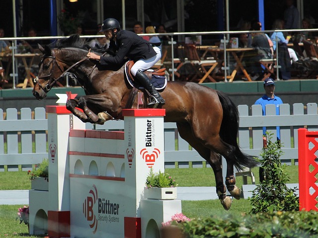 球队的注意 球队的注意