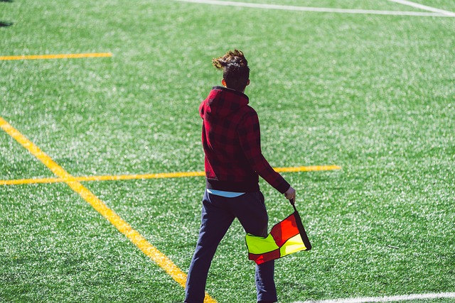 得以屡次扳 得以屡次扳