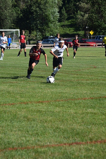 解的小使者 解的小使者